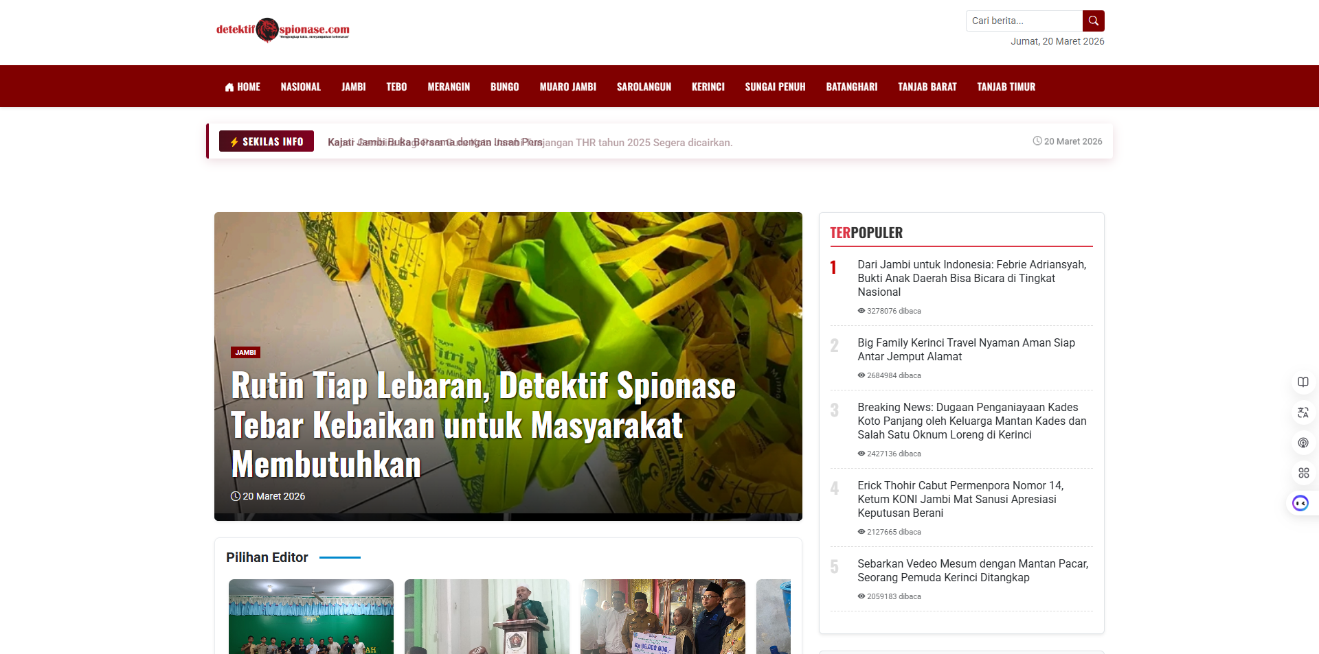 detektifspionase.com